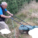 Improving Green Spaces!